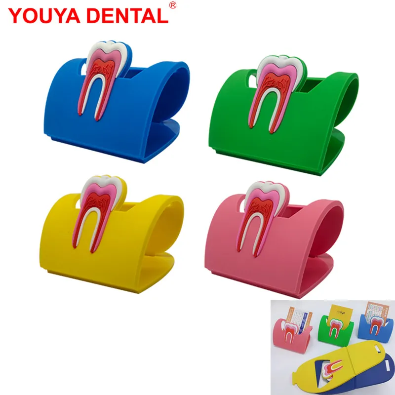 1pc Foldable Business Card Holder Dental Tooth Pattern Desk Place Card Box Case Display Dentistry Clinic Decoration Dentist Gift