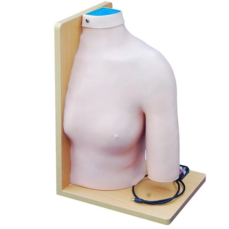 Shoulder Joint Intracavitary Injection Model, Injection Simulator