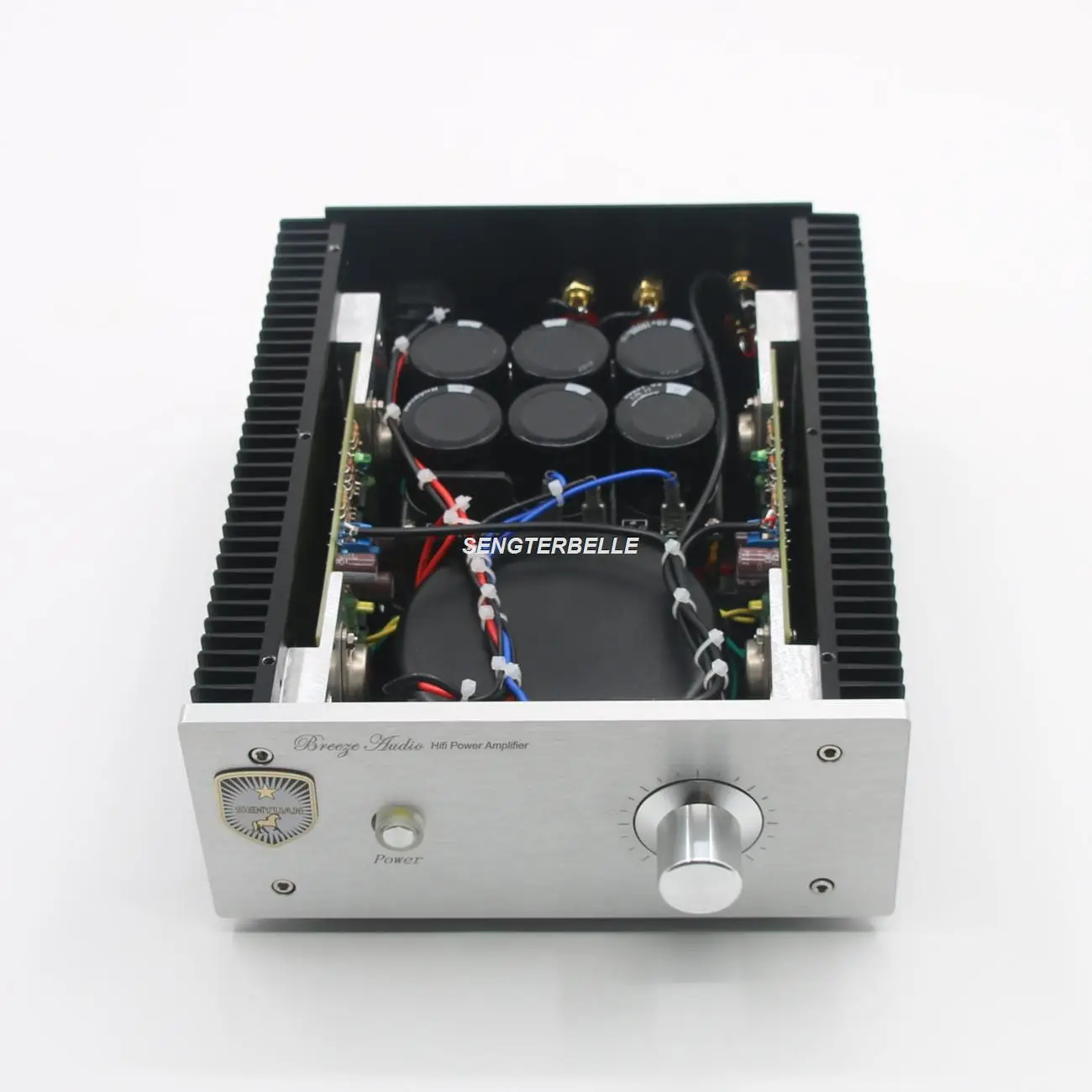 HiFi PASS AM Pure Class A Stereo Amplifier 22W Home Amp With Speaker Pro
