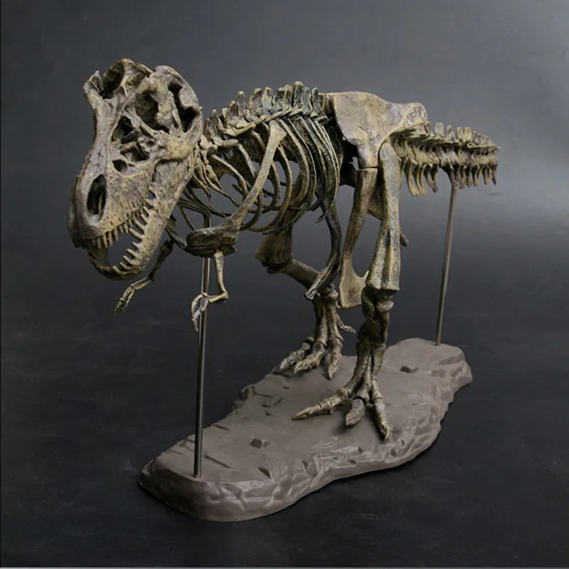 4D Animal Model Toys Simulation Large Dinosaur Fossil Tyrannosaurus Assemble The Skeleton Model Toys Stitching Toys