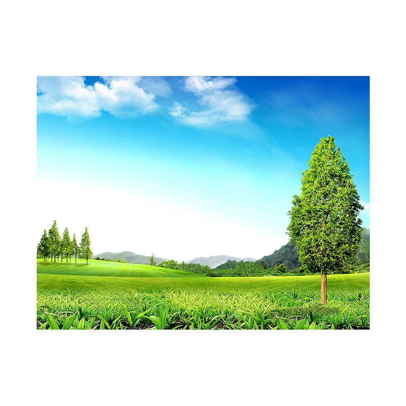 Nature Backdrops Beautiful View Scene Photo Backgrounds Photography Props Non Woven for Photocall Photo Studio Party Decorations