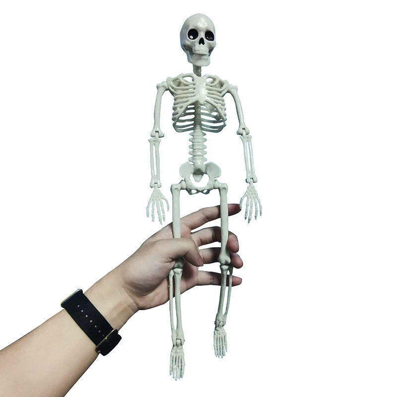 Car decoration spoof Active Human skeleton Model Anatomy Skeleton Skeleton Medical Learning Halloween Party Decoration Skeleton