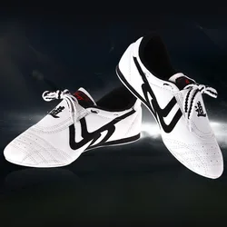 2021 News Fu Tai Chi Shoes for Training Adult Unisex Chinese Traditional Shoes Martial Arts Shoes Taekwondo Breathable Wushu