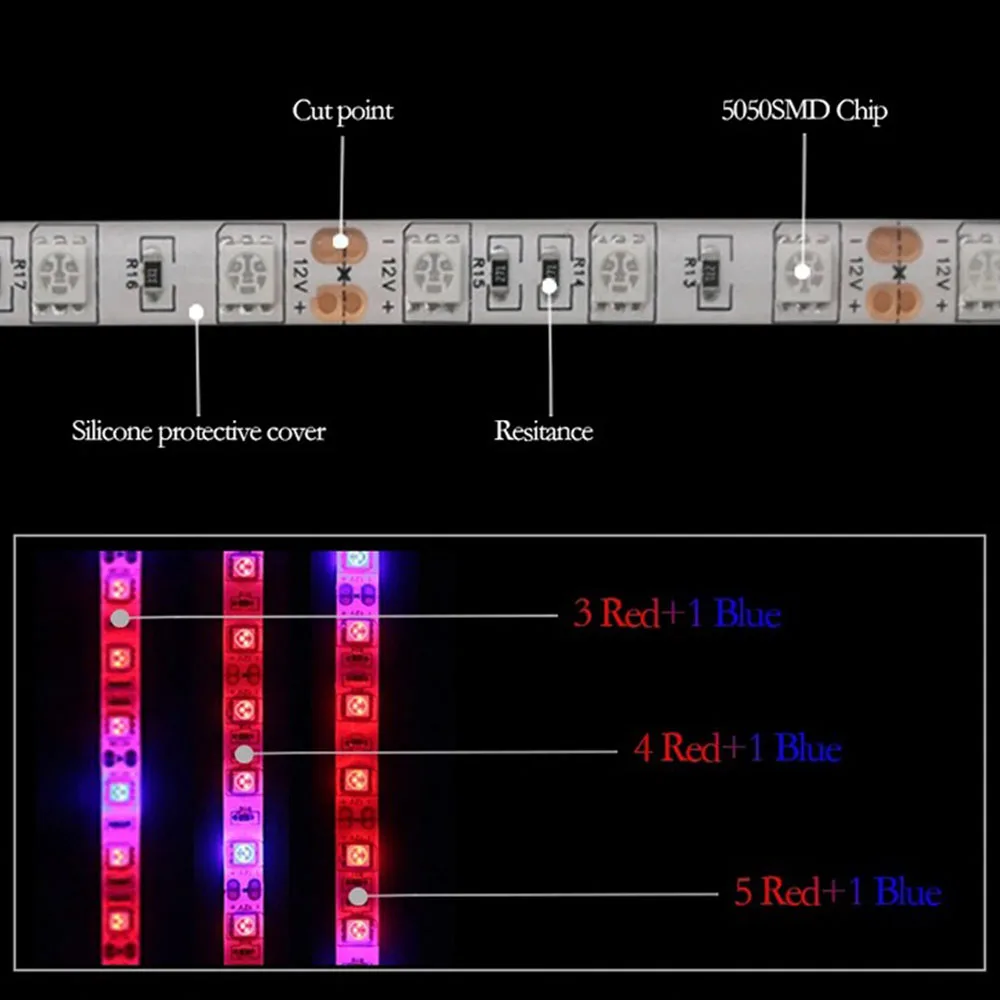 Full Spectrum LED Grow Light, 5050 Chip, 12V, Hydroponic Plant Growing, Flower Plant, Phyto Growth Lamps, Power Adapter