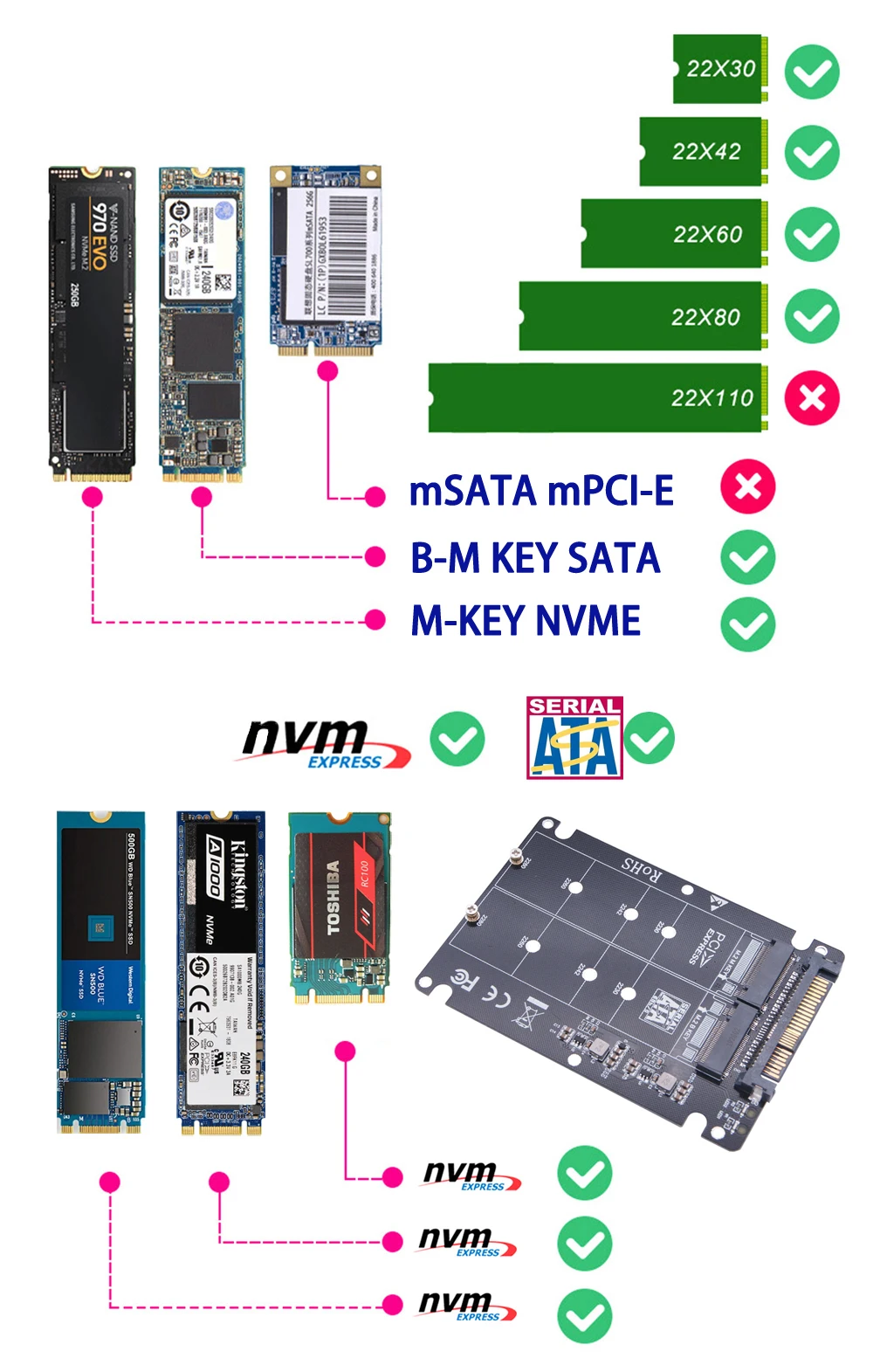 Adaptateur SSD M.2 SSD vers U.2 Adaptateur M2 SATA NVMe Clé B/M NGFF SSD vers PCI-e U2 Adaptateur de conversion SFF-8639 PCIe M2 pour ordinateur PC