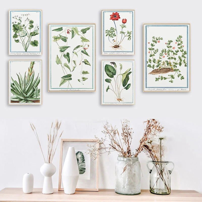 Vintage Botanical Poster Aloe vulgaris Decoration Painting Plant Canvas Pictures Wall Art Stickers Illustration Home Decoration