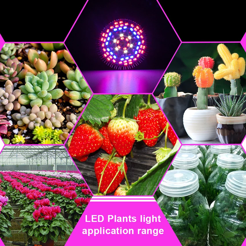 LED Plant Growth Light Bulb, Full Spectrum Plant Light, Succulent Fill Light, Indoor Plants, Vegetables, Flowers, 30W, 50W, 80W