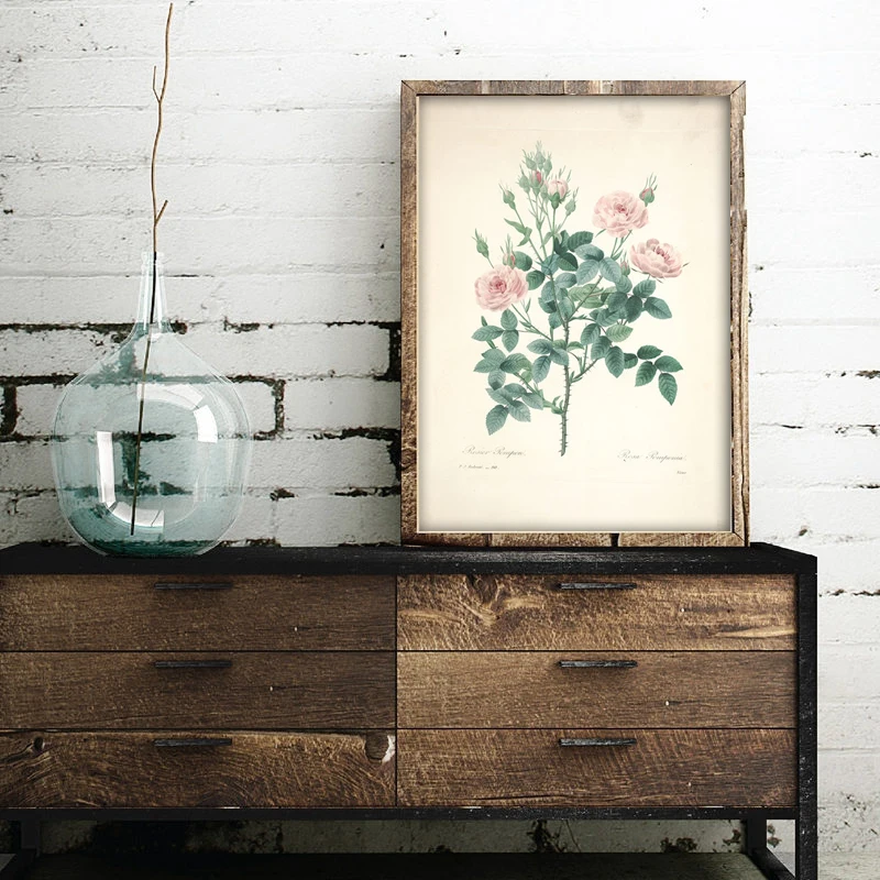 Classic Retro Botanical Canvas Painting Vintage Ancient Botany Flower Fruits Posters Prints Wall Art Picture Room Decor