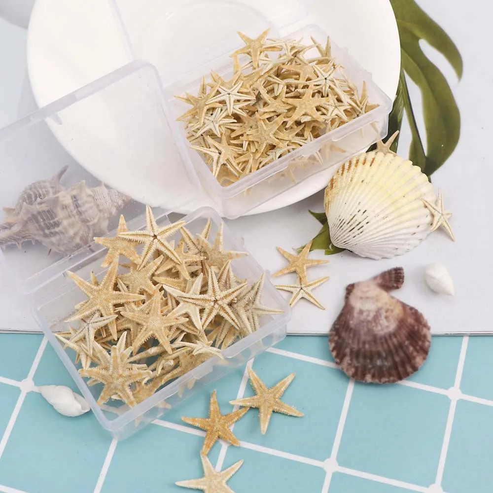 20PCS 1 Box Natural Starfish Seashell Beach Craft Natural Sea Stars DIY Beach Wedding Decoration Crafts Home Decor Epoxy 1-5cm