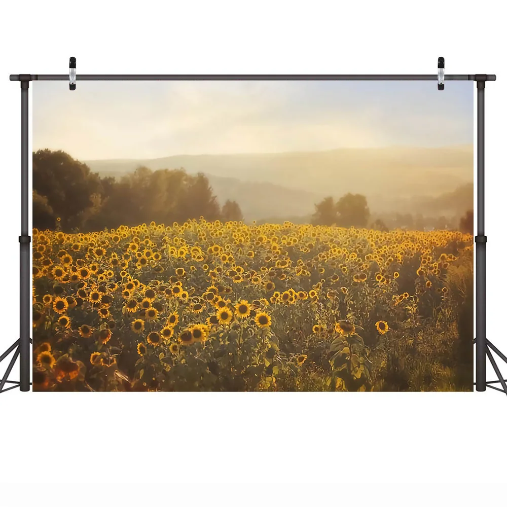 عباد الشمس المناظر الطبيعية خلفية التصوير الفوتوغرافي الربيع أشعة الشمس غروب الشمس الحلو الأطفال صورة خلفية لدعائم استوديو الصور