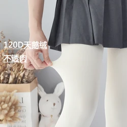 High quality 120D Japanese Sen female line Lolita lolita white velvet pantyhose basic models girls bottoming socks