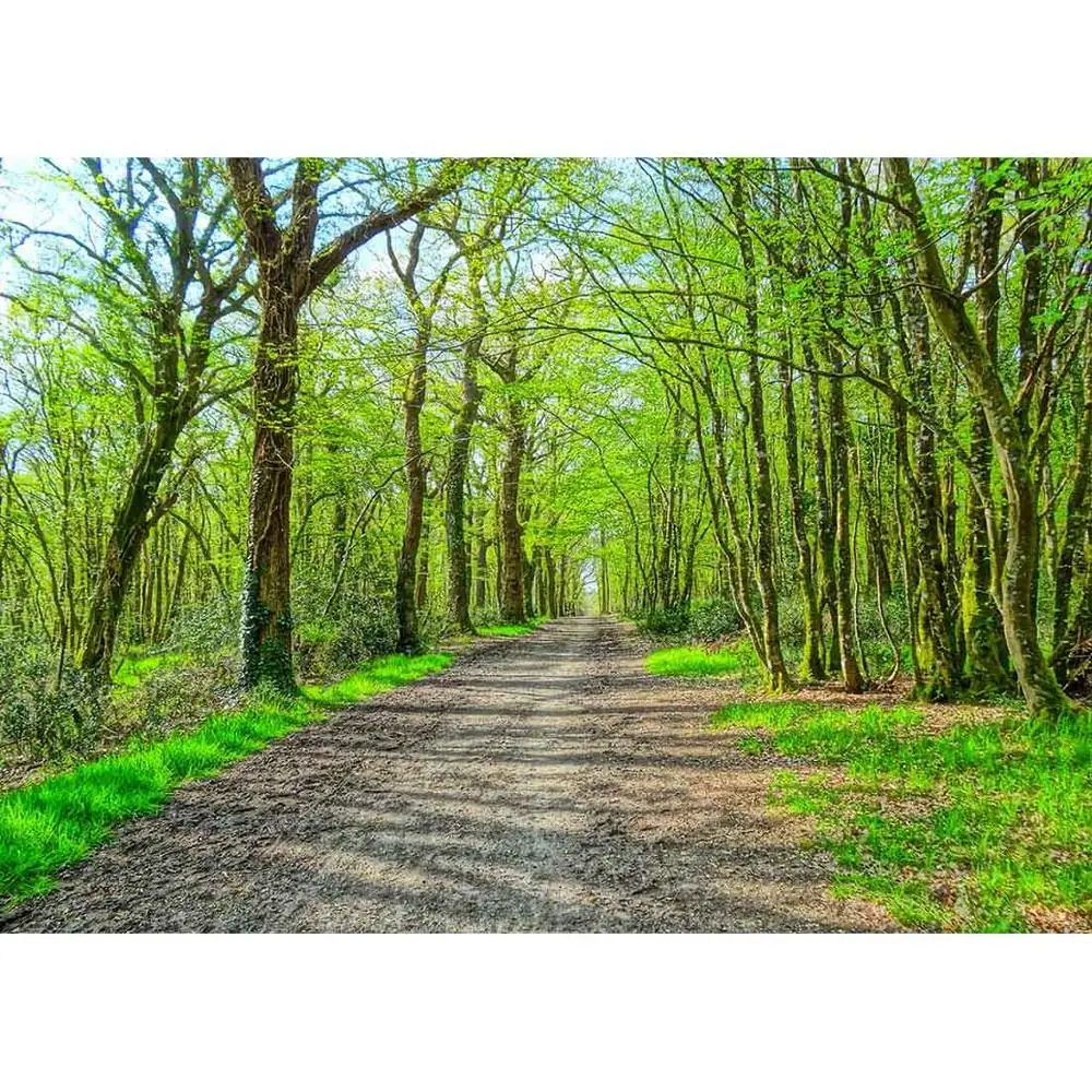 Spring Green Tree Path Vinyl Cloth Photography Backgrounds Portrait Photographic Backdrops Photo Studio Photobooth Camera Photo