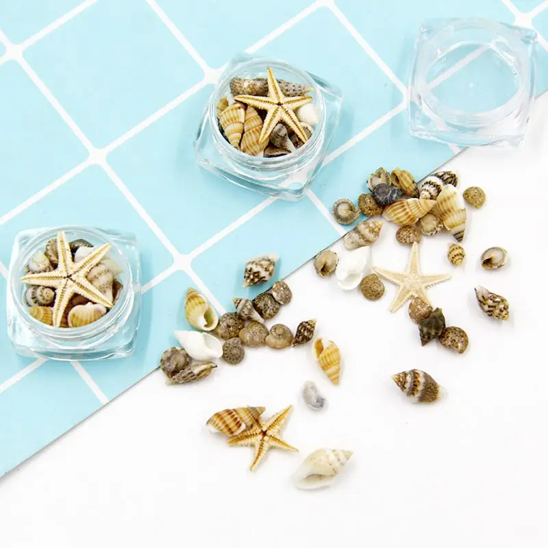 Small Natural Beach Seashell Starfish Nautical Decor Jewelry Glass DIY Fillers Nail Art Resin Fillings Jewelry Making Dropship 