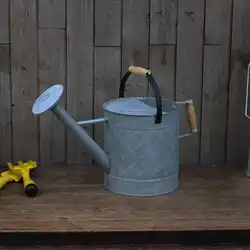 6.5L Volume Retro Zinc Garden Watering Can