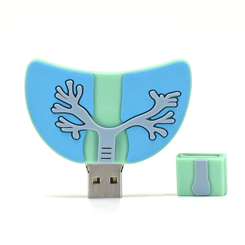 Organ Pen Drive 4GB 8GB 16GB 32GB 64GB Heart Usb Flash Drive 128GB 256GB Cartoon Memory Stick Pendrive U Stick