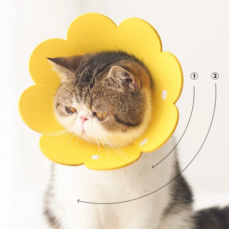 Sunflower Shaped Cat Recovery Collar Elizabethan Collar Wound Healing Protective Cone for Kitten Puppy XS-L