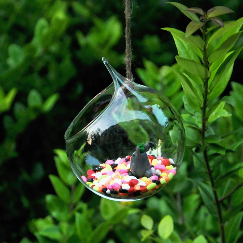 Diameter=12cm Middle Size Big Open Glass Terrarium Vase Home Decoration Microlandscape Container Condole Bottle Wedding Prop