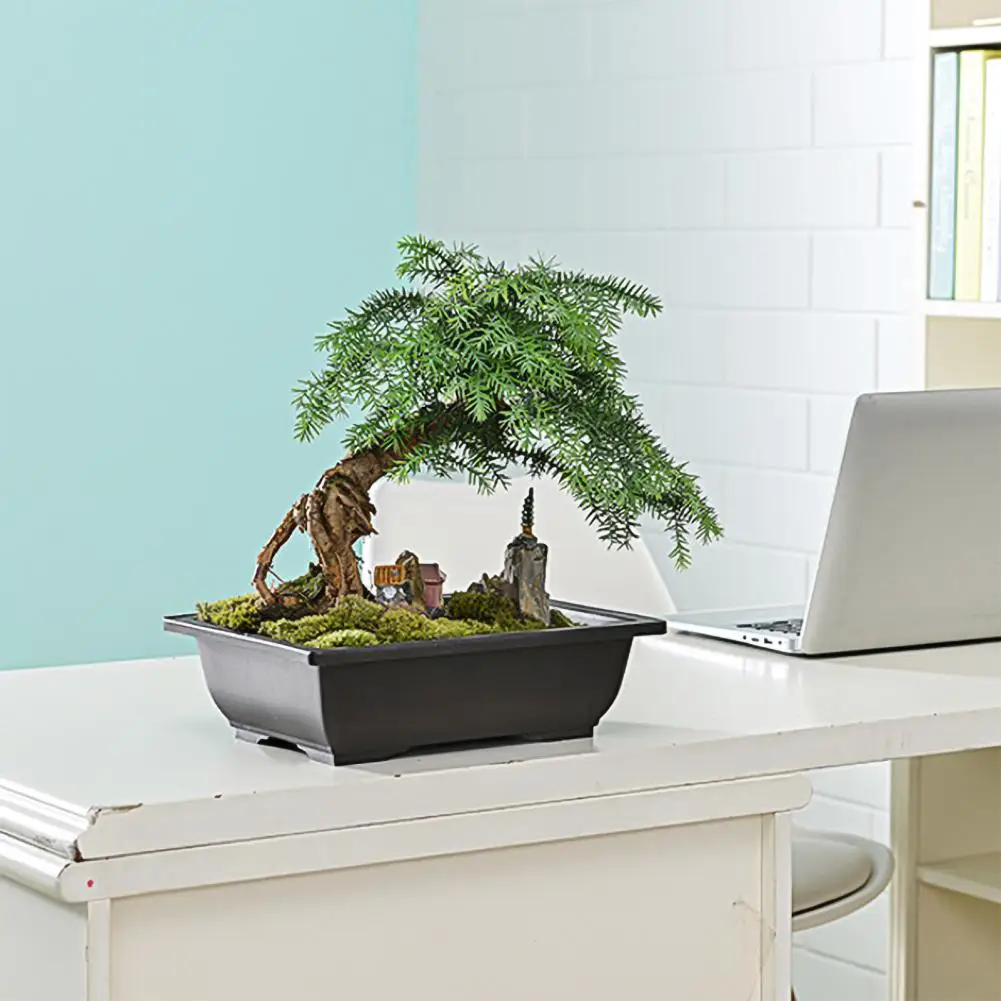 Mọng Nước Hoa Vuông Hình Chữ Nhật Nhựa Cây Cảnh Lọ Hoa Vườn Dụng Cụ