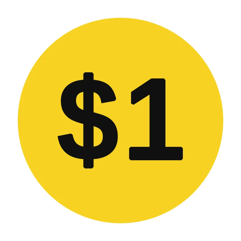 

Dash camera Customize Fee