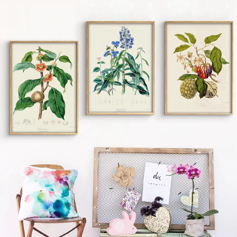 Vintage Plant Art Painting Global Vegetation Illustration Poster Prints Family Living Room Wall Decoration