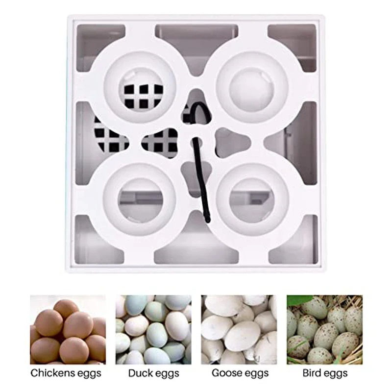 4pcs Egg Inccubator Hatchery Mini Digital Temperature Brooder Farm Brooder Quail Egg Hatcher Incubator Equipment Children Gift