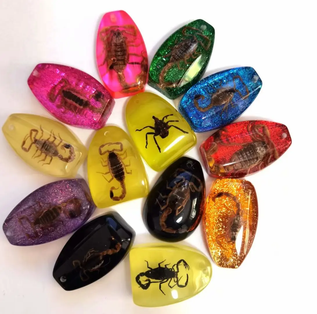 

13 pcs fashion real scorpion insect bug mixed style pendant