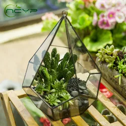 NCYP Modern Artistic Hanging Flowerpot Glass Terrarium Five-surfaces Diamond Succulent Fern Moss Planter Geometric Terrarium