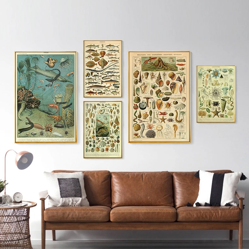 

Poster Prints Retro Ocean Sea Shell Fish Animal Vintage Life Chart Biology Painting Art Wall Pictures For Living Room Home Decor