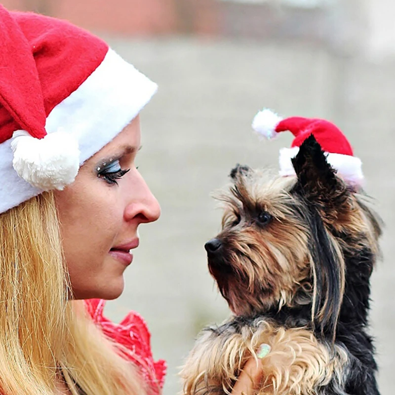 Christmas pet santa hat small puppy cat dog xmas holiday costume ornaments