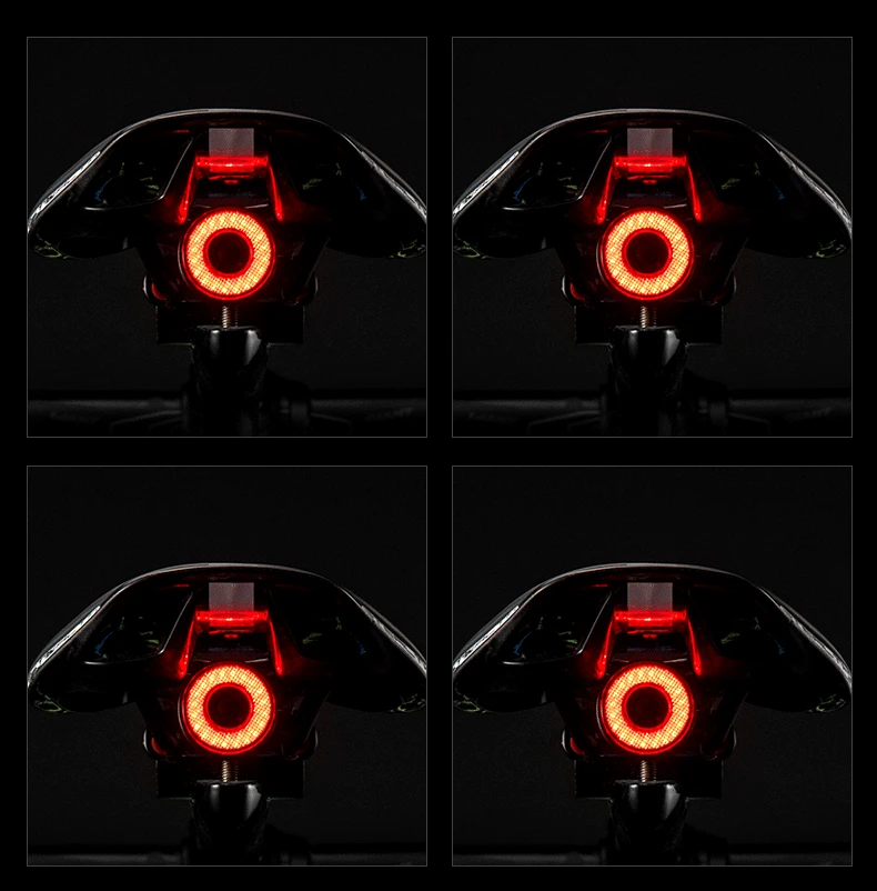 ROCKBROS Bicycle Smart Auto Brake Sensing Light IPx6 Waterproof LED Charging Cycling Taillight Bike Rear Light Accessories Q5