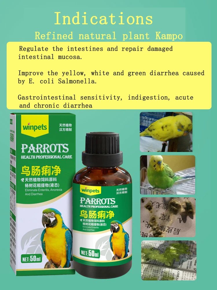 

Parrot diarrhea myna Xuanfeng pigeon water stool green stool dysentery enteritis bird supplies 50ml