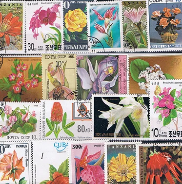 50Pcs/Set Flowers All Different From Many Countries NO Repeat With Postmark Postage Stamps for Collecting
