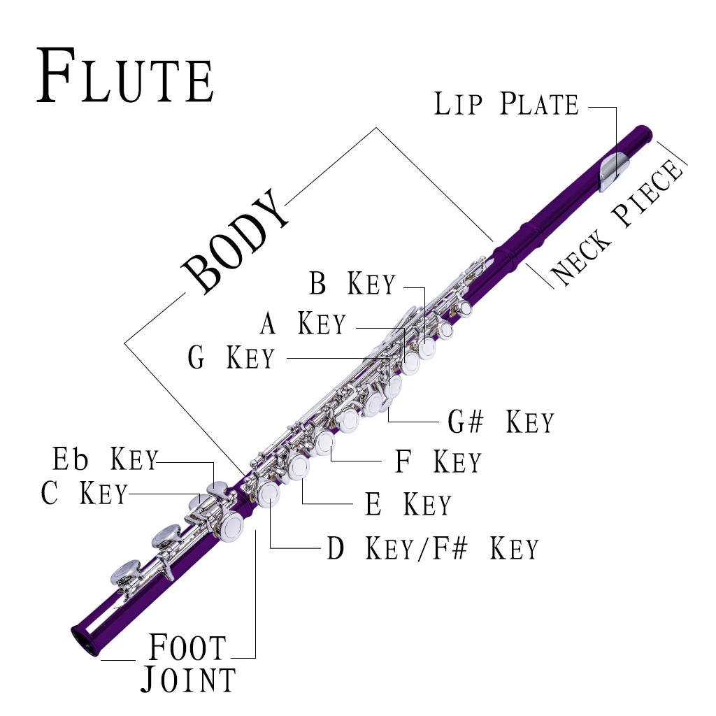 Closed-cell 16-key Design C Flute 16-key Nickel-plated Flutes Sets w/Hard Case+Gloves+Cleaning Rod And Cloth For Beginners