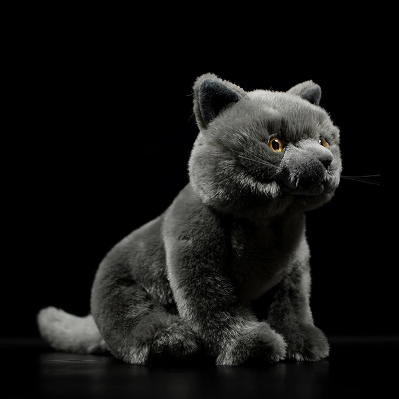 Simulation Cute British Shorthair Cat Tabby Felinae Stuffed Soft Plush Toy Grey Kitten Real Life Animal For Child New Year Gift