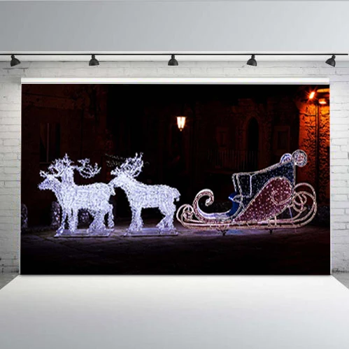 Winter Christmas reindeer sleigh Street luminous houses beautiful winter photography background Baby Portrait Photo