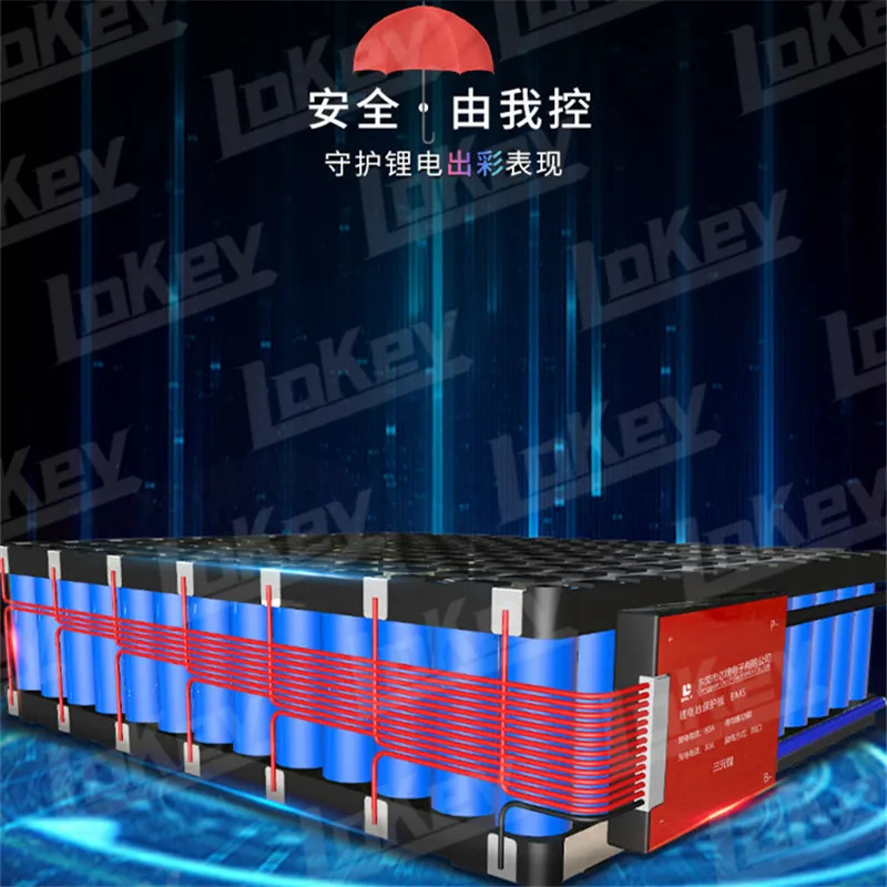 BMS 16S 48V 60V 100A 200A 300A 400A 500A agli ioni di Litio lipo lifepo4 P67 impermeabile BMS con equalizzazione corrente