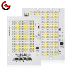 SMD 2835 LED Chip 100W 50W 30W 20W 10W Flood Light Beads AC 220V-240V Led Floodlight Lamp DIY For Outdoor Lighting Spotlight