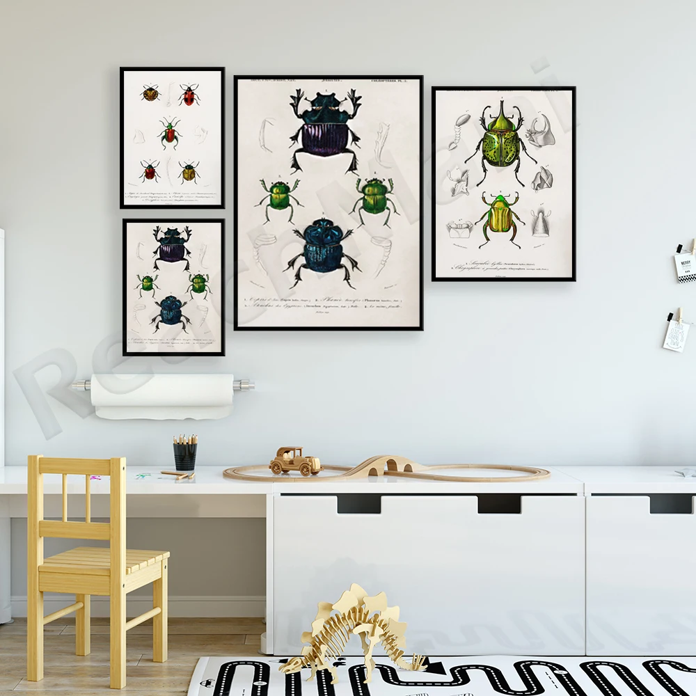 Impreso por Adolphe Millot lienzo insectos científicos vintage, Larousse Insects Chart Bugs cartel decoración del hogar mejores ideas de regalos