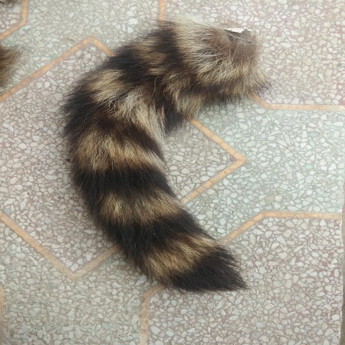 Tanned Raccoon Tail for Women and Men, Real USA Fur Coats, Fox Tail Tails, Cat Toys, Genuine Crafts, XL, 1Pc