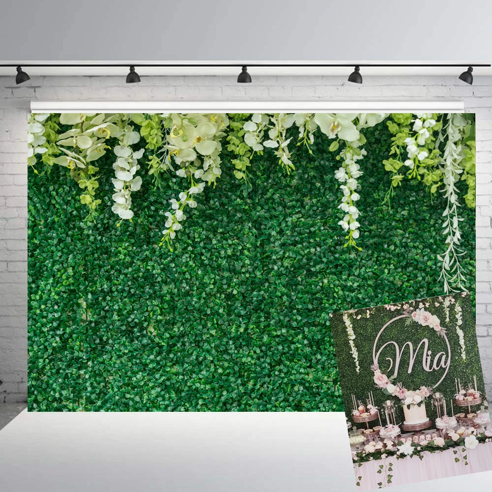 Beipoto decoração de chá de panela, flor branca, folha verde, foto, cenários, floral, festa de casamento, fotografia, planos de fundo