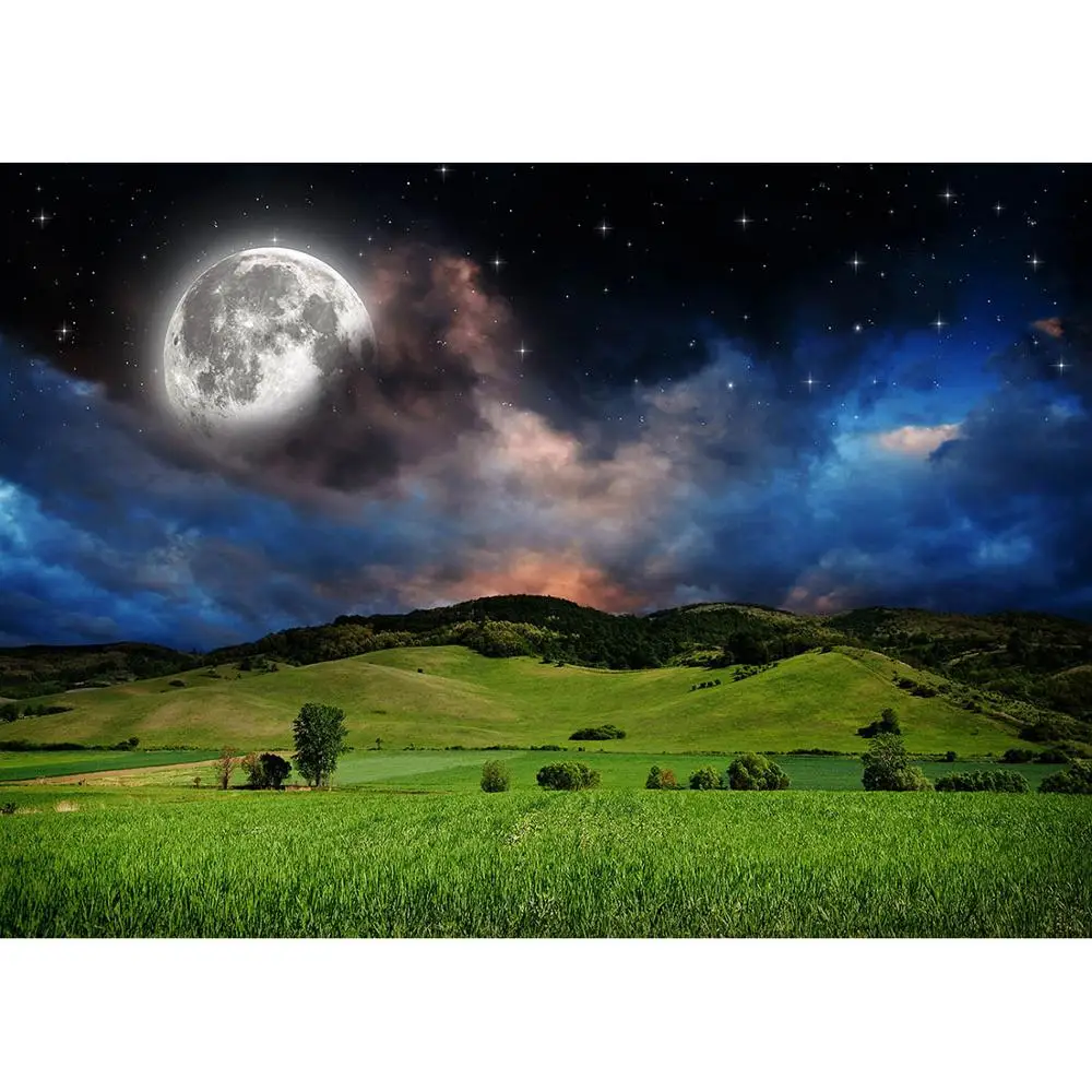 Starry Sky Full Moon Grassland Photo Backdrop Customized Backgrounds for Baby Children Portrait Photography Props Photoshoot