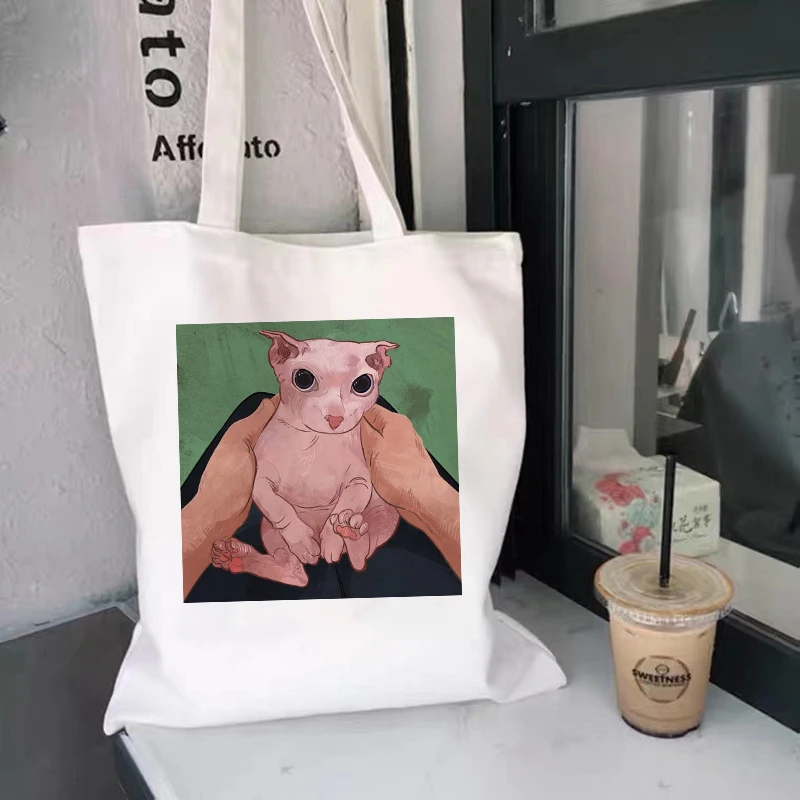 Women Canvas Tote Bag with Zipper Closure Fashion Animal Cartoon Dinosaur Print Shopping Bag Unisex Shoulder Bag Reuse Foldable