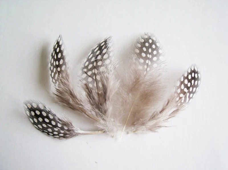 1000Pcs/Lot! 5-7cm Guinea Fowl Feathers Real Feathers Spotted Loose Natural Feathers For Crafts With White Polka Dots