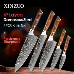 XINZUO Damascus Steel 5PCS Kitchen Knives Set with North America Desert Ironwood Handle Stainless Steel Chef Bread Paring Knife