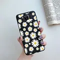 Black-C02