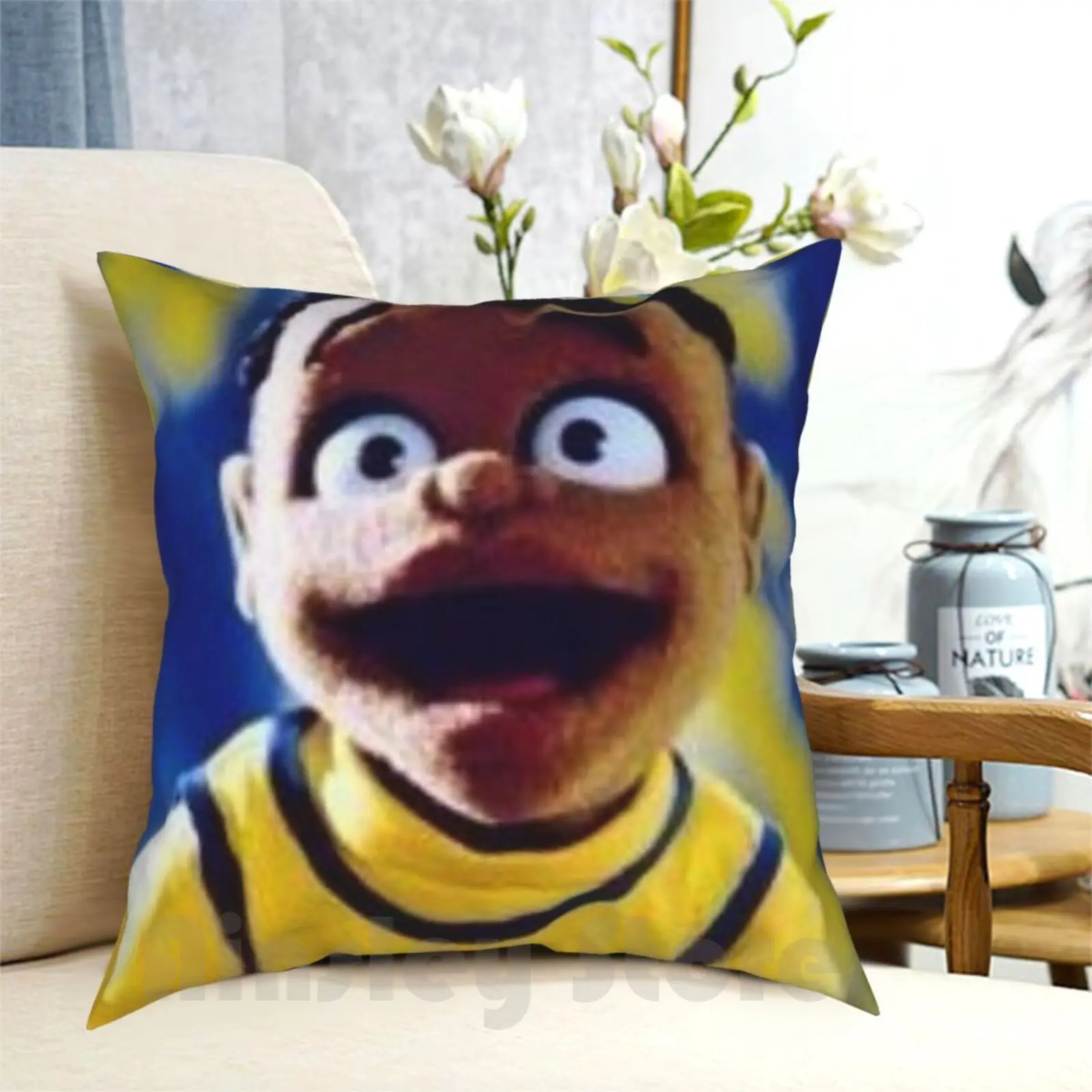 Cousin Skeeter Pillow Case Printed Home Soft DIY Pillow cover Cousin Skeeter Skeeter Bobby Puppet Sitcom 1999 2000