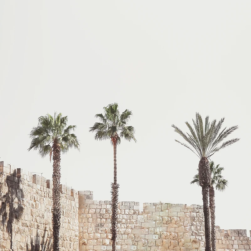 خريطة القدس أسود أبيض قماش المشارك جدار صورة فنية إسرائيل مدينة شارع الطريق الحديثة الشمال الديكور اللوحة ديكور المنزل #2