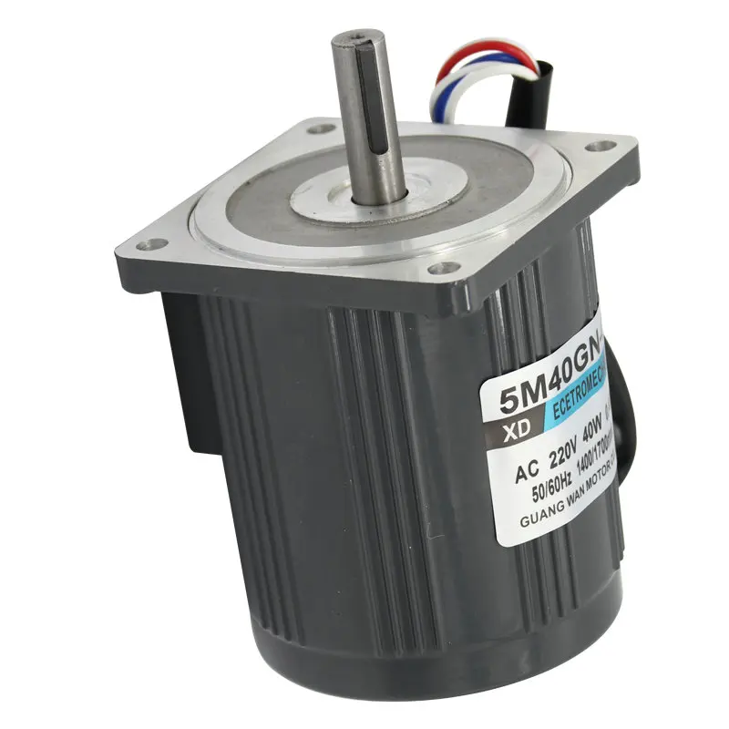 

220V AC Motor 1400 Rpm Fast High Speed Speed Speed Control Electric Machine 40W Micro Induction Small Motor