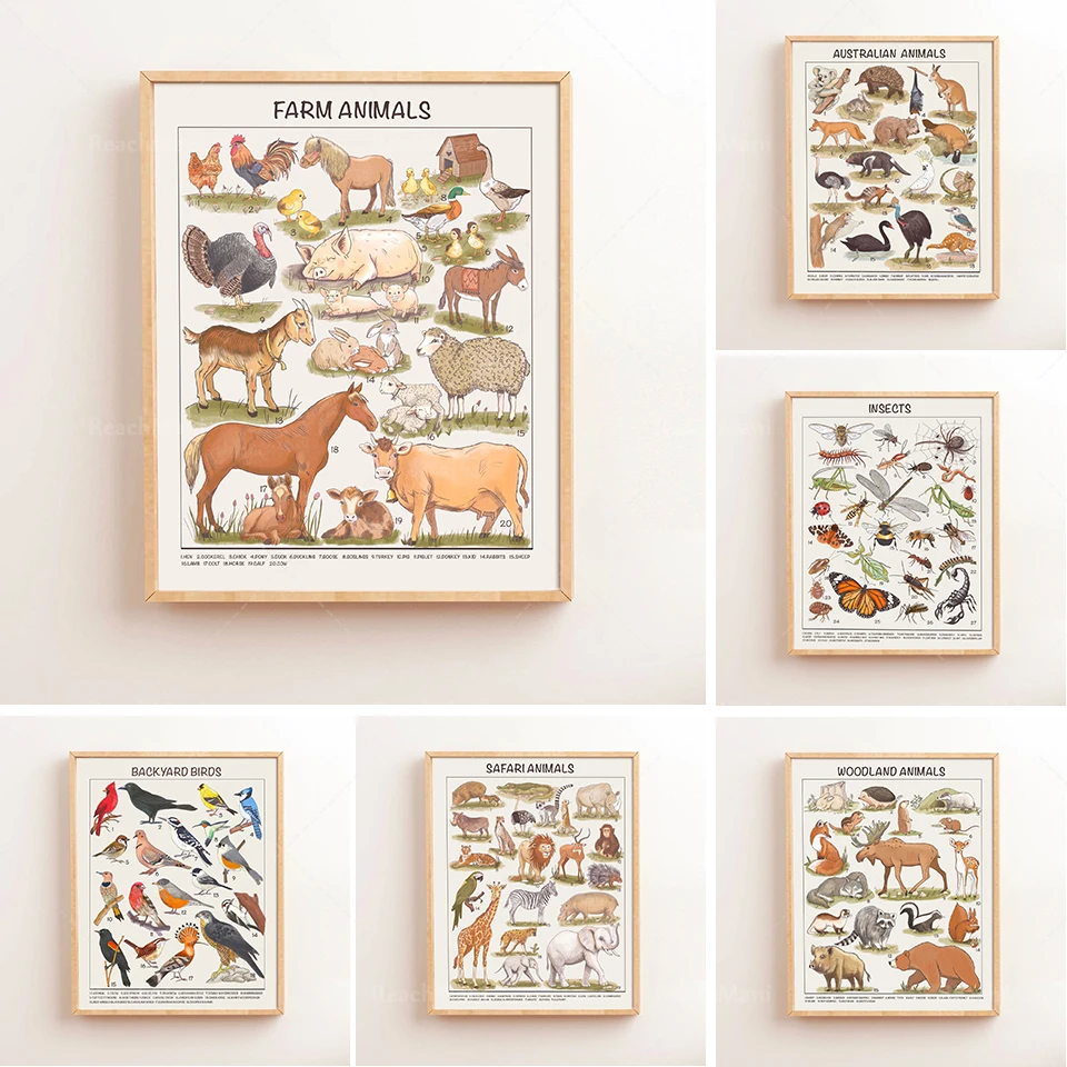 Safari Animals Educational Posters  Nursery Downloadable Prints Preschool Homeschool Printable Kids Children Learning