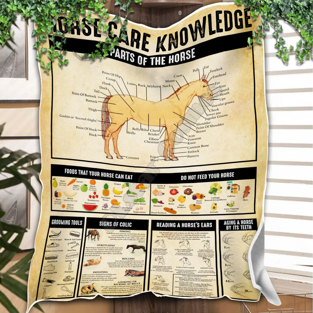 Horse Care Knowledge Blanket printed fleece blanket Beds Hiking Picnic Thick Quilt Fashionable Bedspread Sherpa Throw Blanket